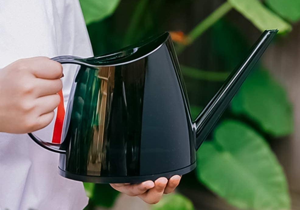 A person holding the watering can