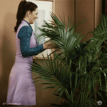 Janet from The Good Place playing with a fern