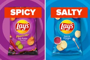 A bag of Flamin' Hot chips are labeled "SPICY" with a bag of Salt and Vinegar labeled "SALTY"