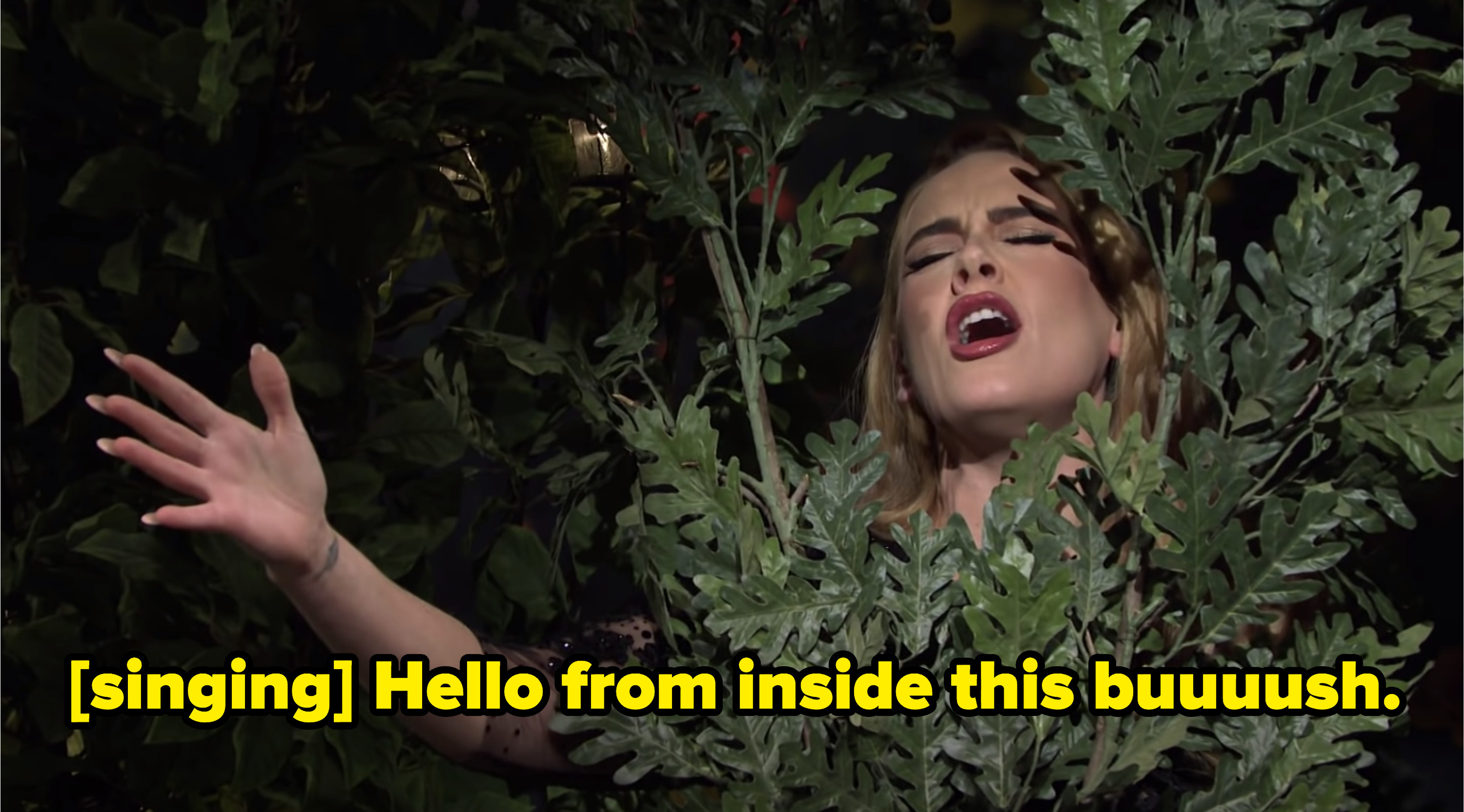 Adele singing &quot;Hello from inside this buuuuuush.&quot;