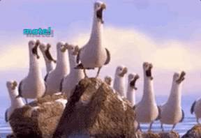 Cartoon seagulls standing on a rock all yelling &quot;mate!&quot;