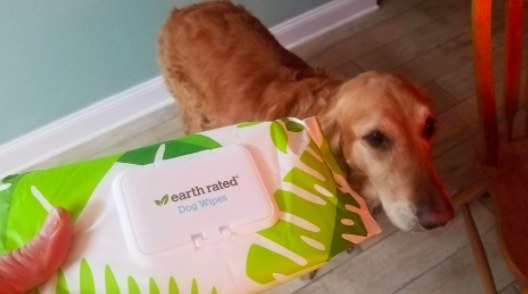 person holding up a packet of earth rated dog wipes