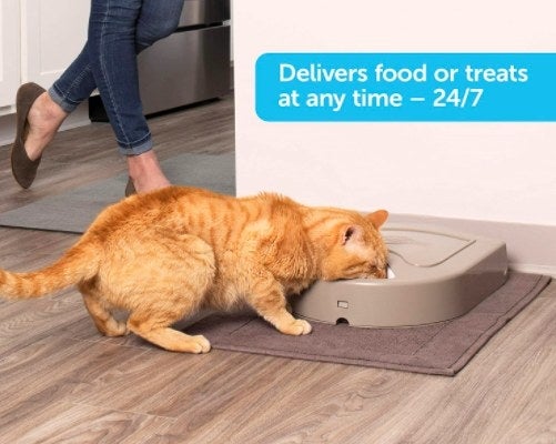 cat eating out of a automatic cat feeder in a kitchen