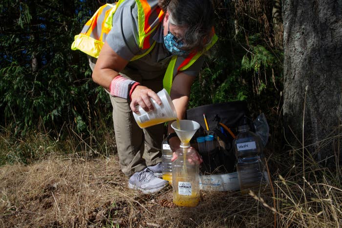 Person pouring a liquid into a plastic container next to a tree