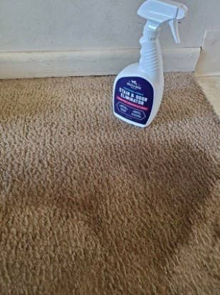A reviewer photo of a massive stain on carpet before using a stain and odor remover