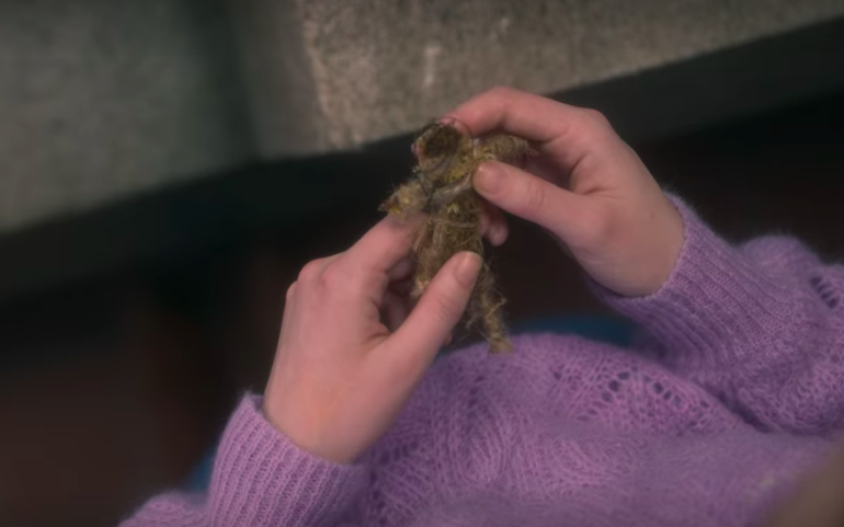 Hands holding small unidentifiable doll