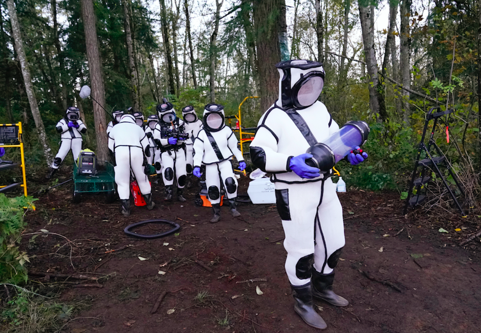 Several people in bodysuits walk around murder hornet site