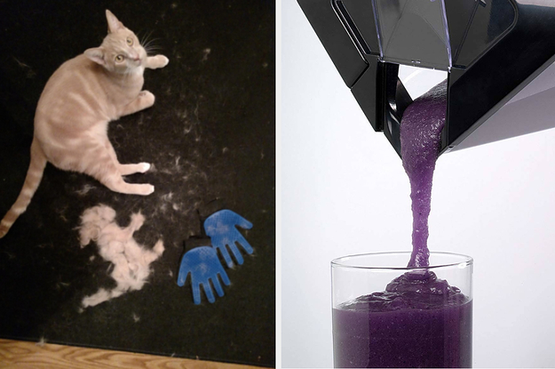 猫与美容手套,忍者搅拌机倒入玻璃
