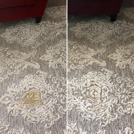 reviewer&#x27;s before and after of rug with pee stain and then clean