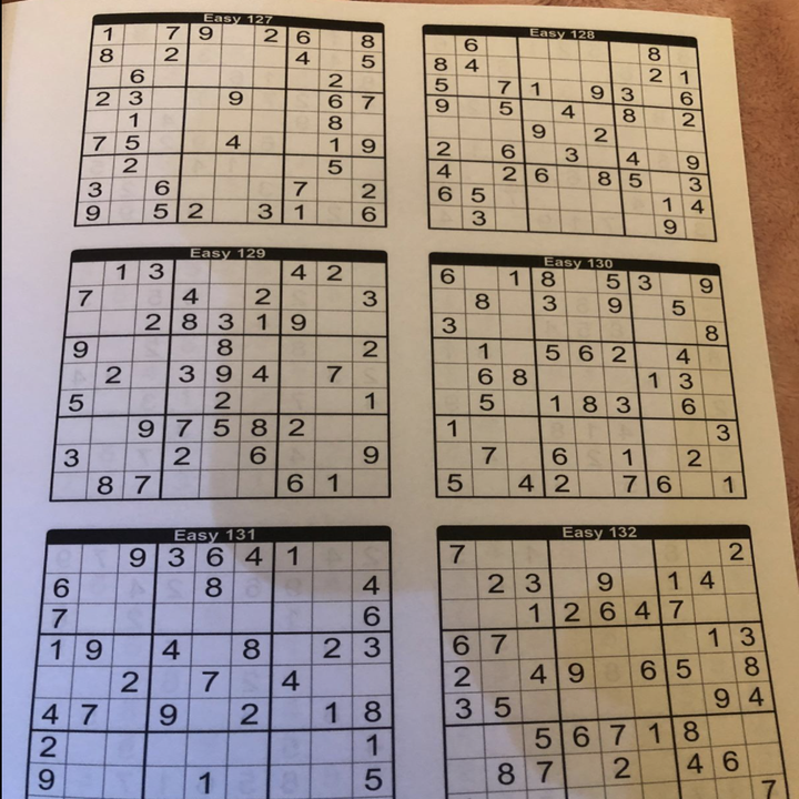 Reviewer photo of page from book with Sudoku puzzles