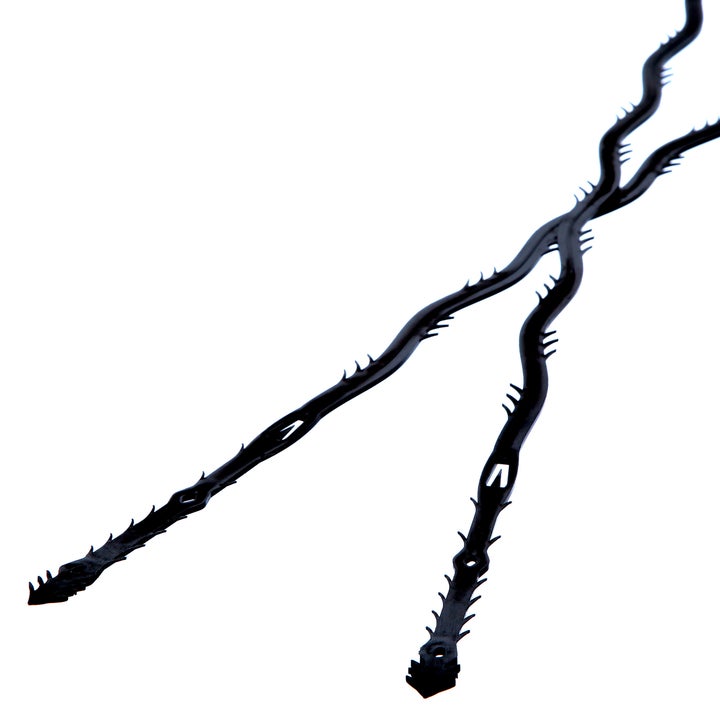 close up shot of two drain snakes showing their spikes