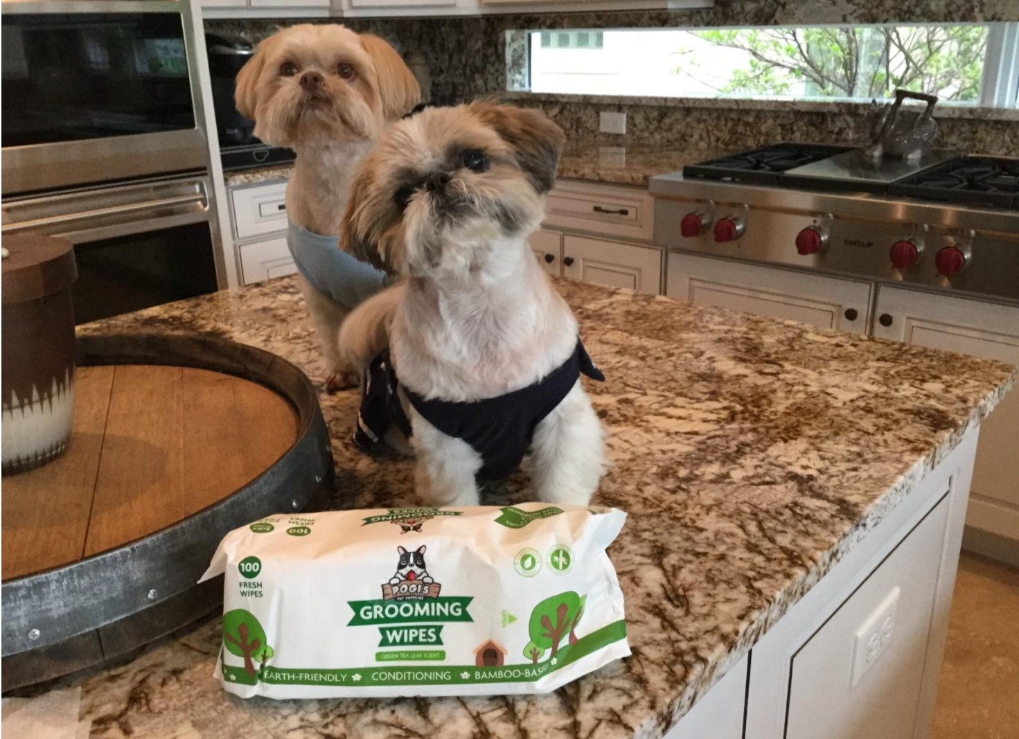 Two dogs sitting with the pack of grooming wipes