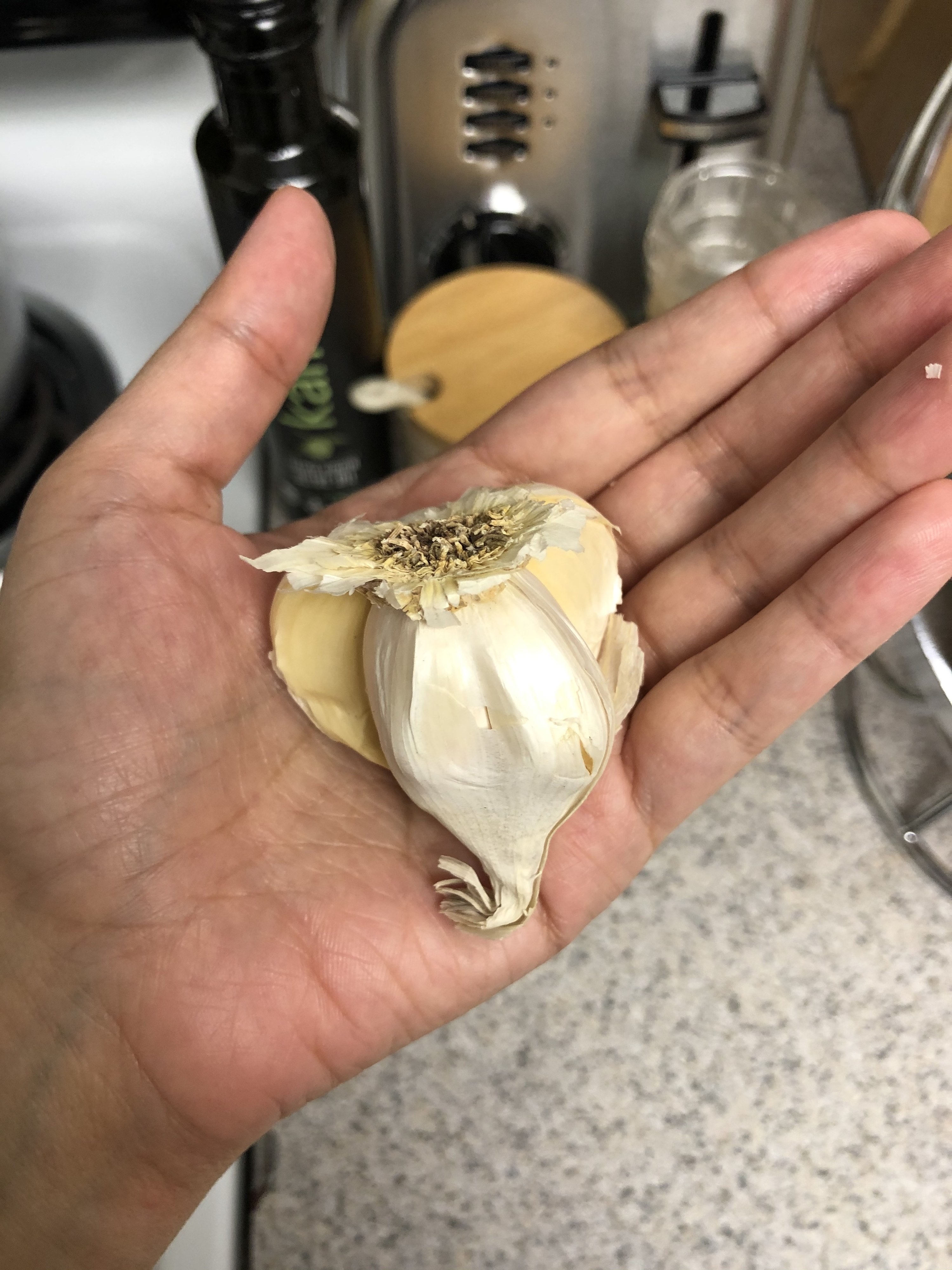 A clove of garlic in someone&#x27;s hand