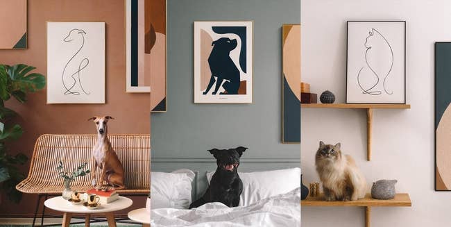 Three pics of the art: one line drawing of a dog, one color-block of a dog, and a line drawing of a cat, all with the actual animals they look like below them