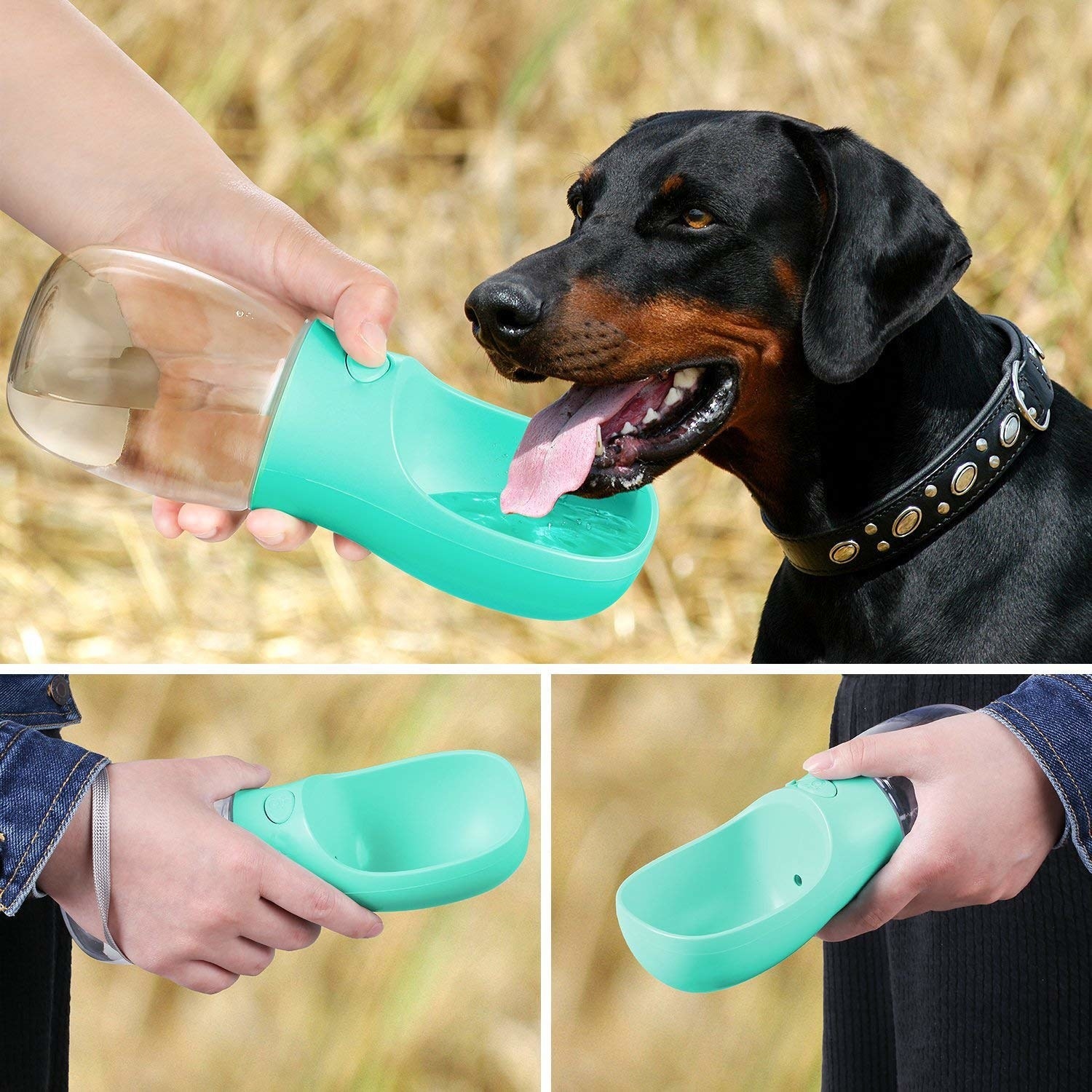 A collage of images showing a dog drinking from the bottle, and two angles of a hand holding it.