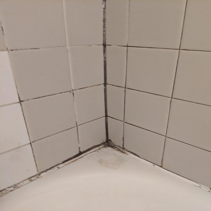 Corner of a bathtub with mold and mildew in between tiles