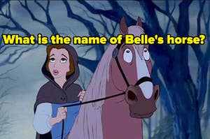 What is the name of belle's horse?