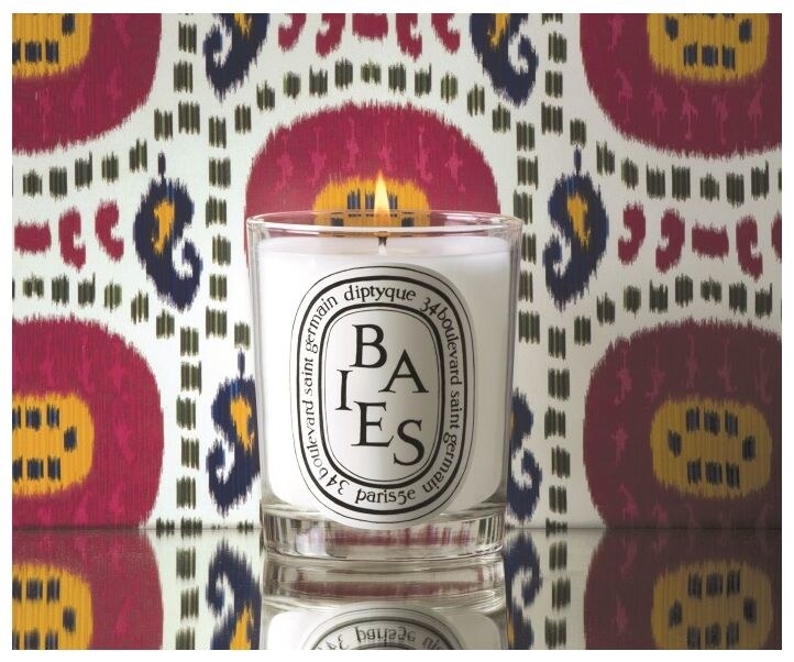 Diptyque candle in Baies scent