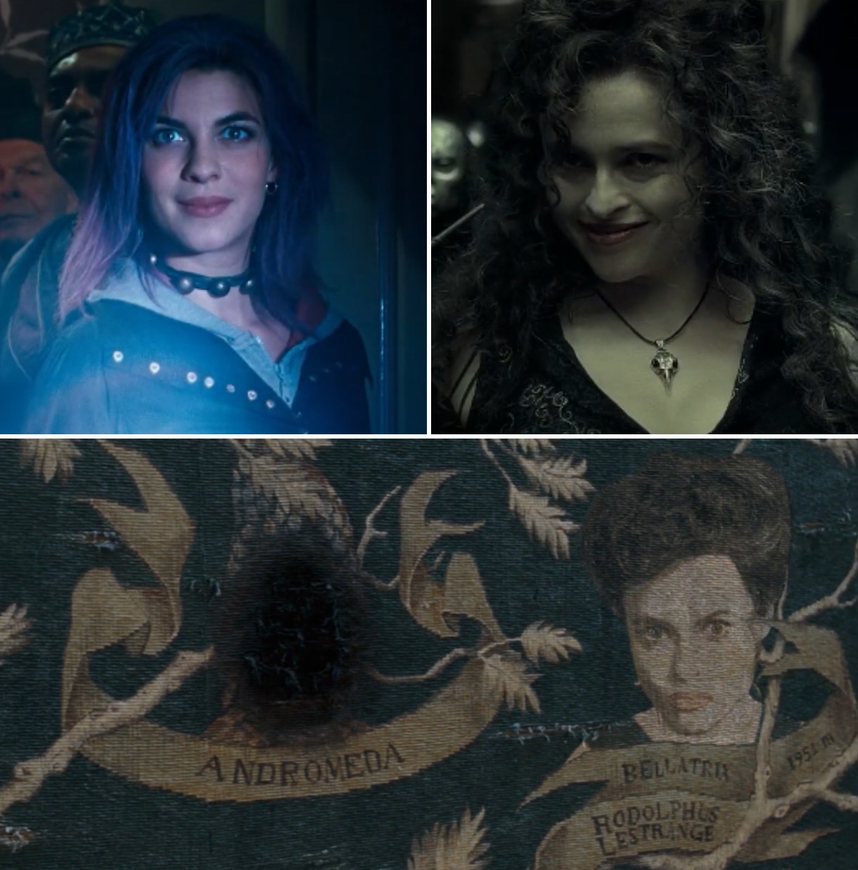 Tonks, Bellatrix, and the Black family tree