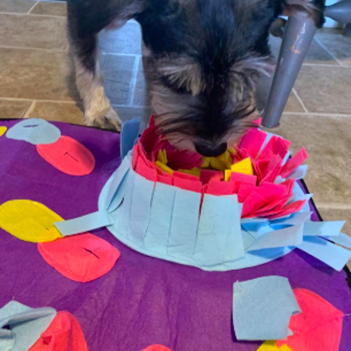 33 Best Dog Toys That'll Make Your Dog Say "Woof Woof"