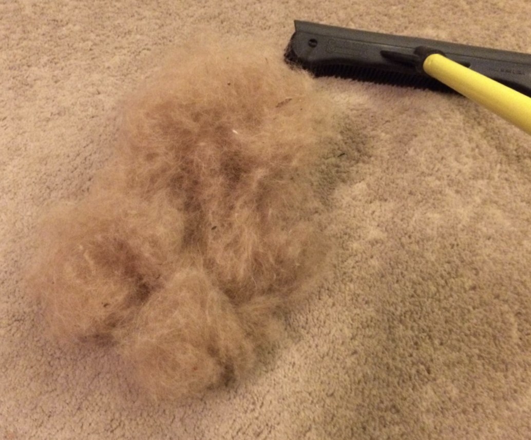 A pile of fur on a carpet next to a pet hair removing broom
