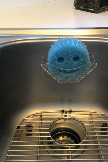 A reviewer's photo of the blue Scrub Daddy 
