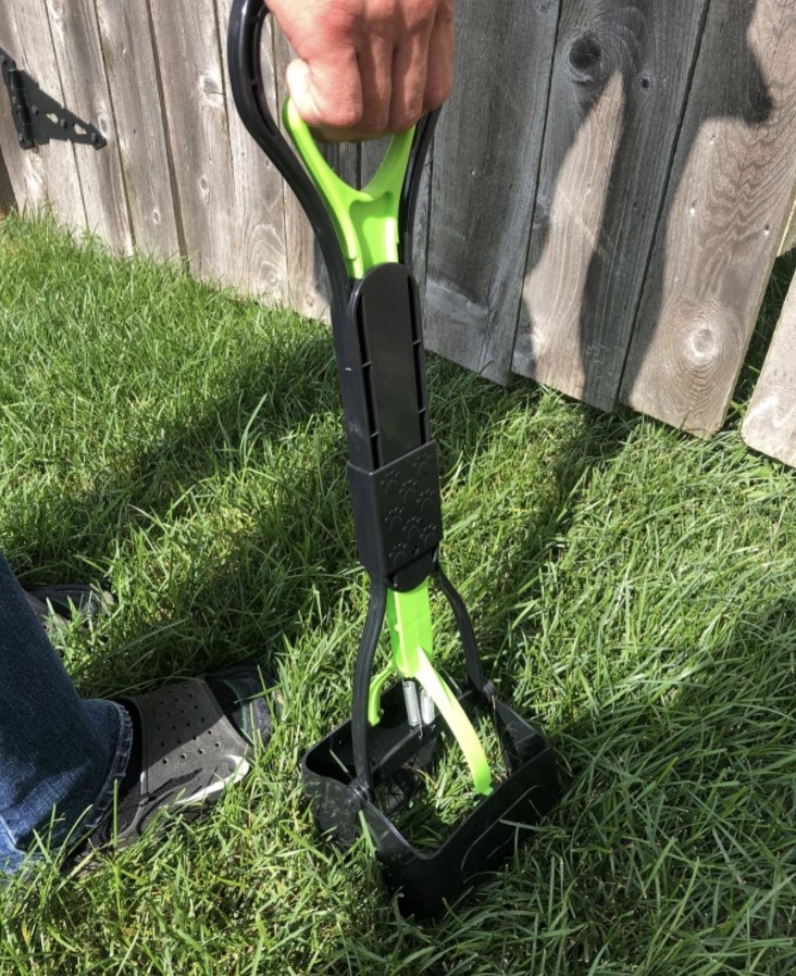 Person is holding a green pooper scooper above grass