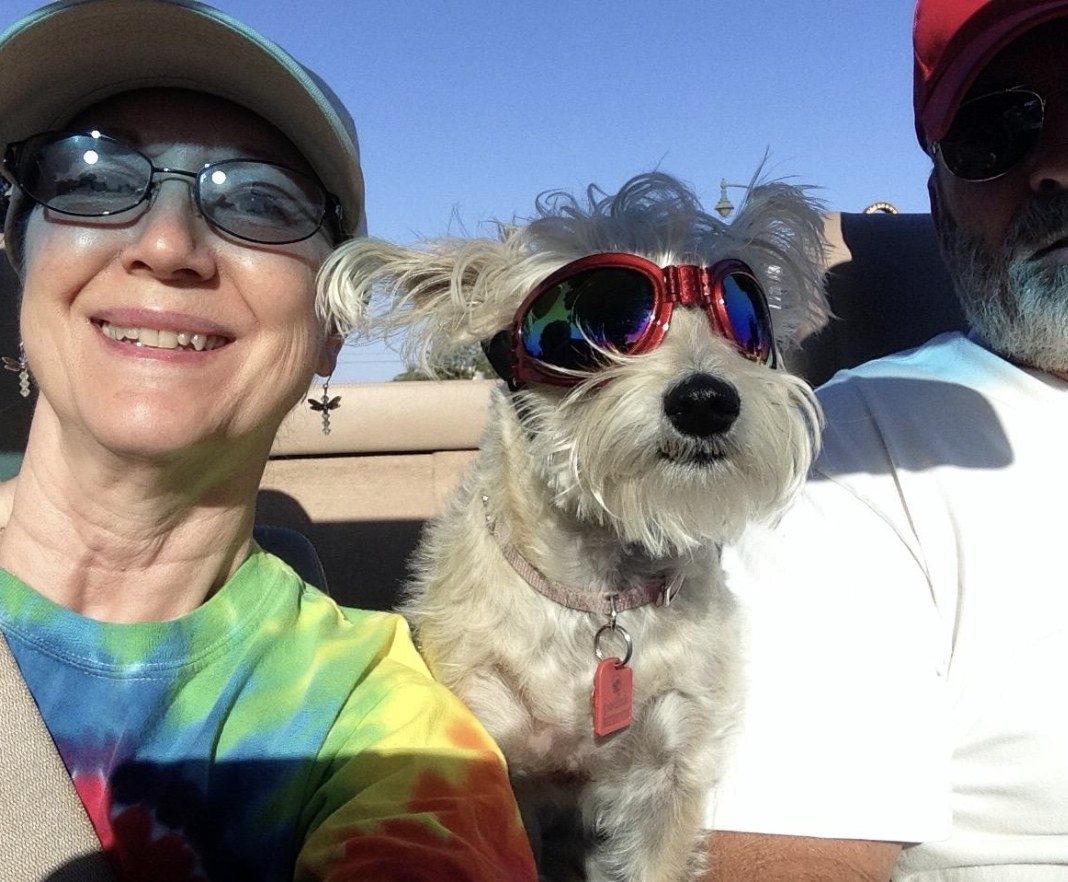 A white dog wearing goggles is sitting between two people in a convertible