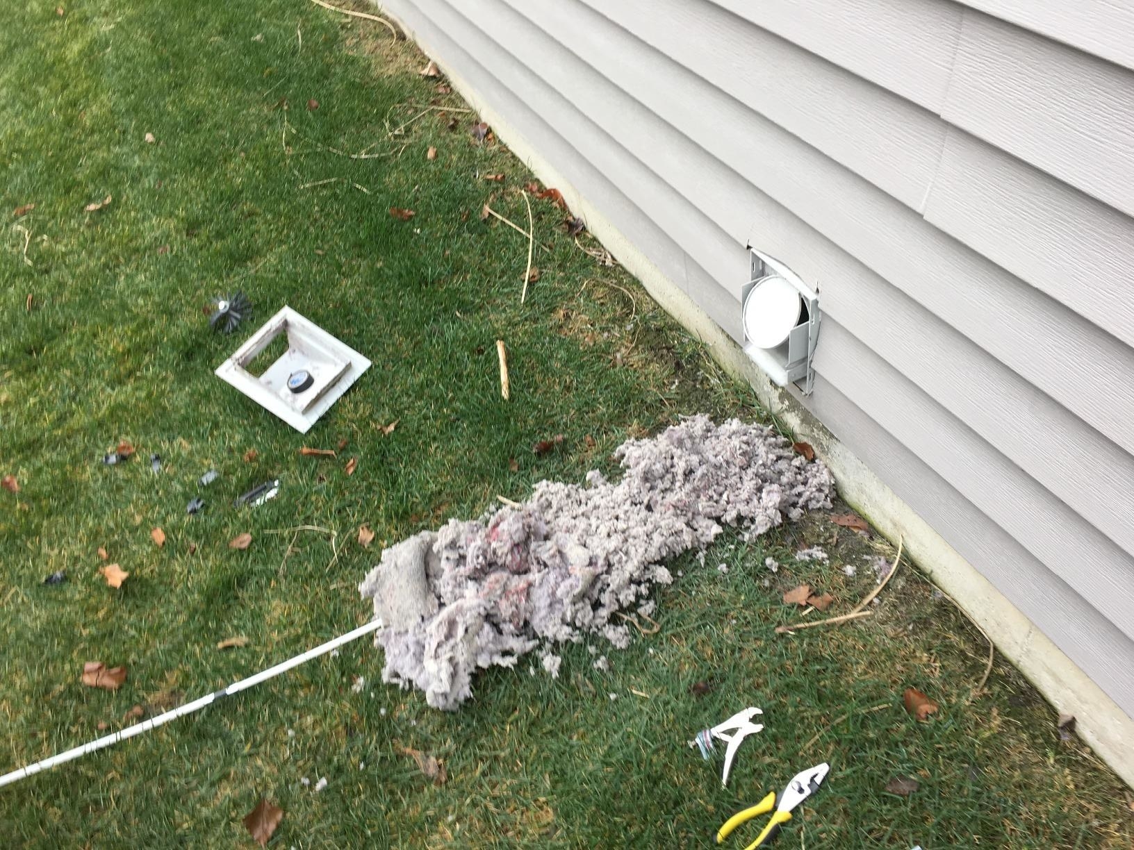 Reviewer image of heap of dryer lint outside of house on grass