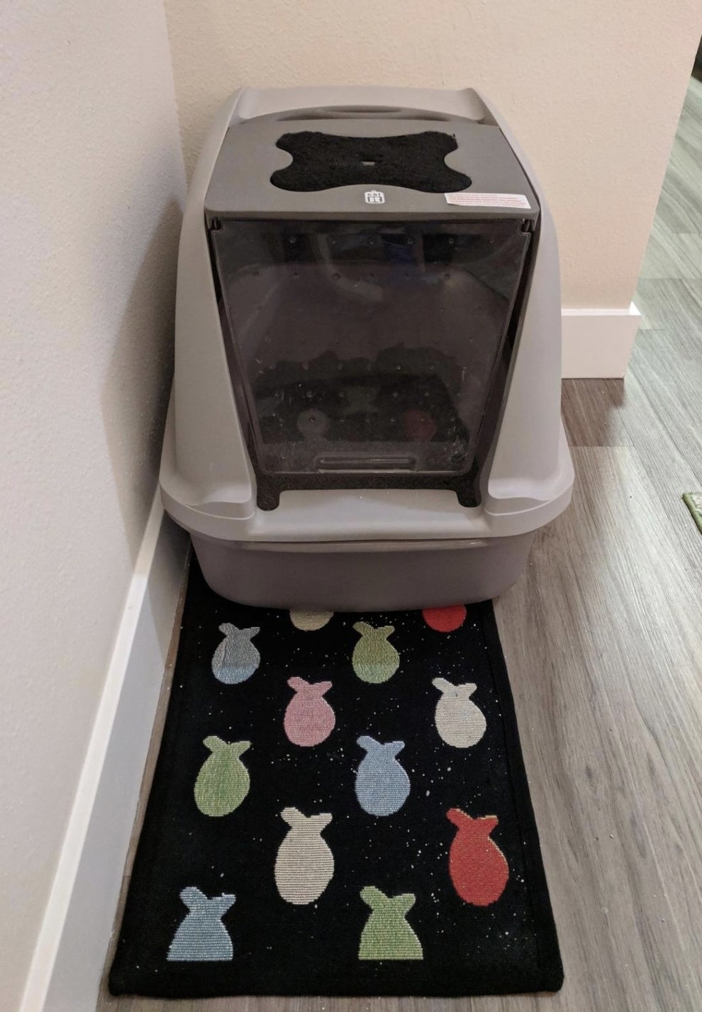 29 Amazon Cat Products Under 50 You'll Use Constantly