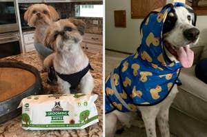 to the left: two dogs with grooming wipes, to the right: a dog in a hooded raincoat 