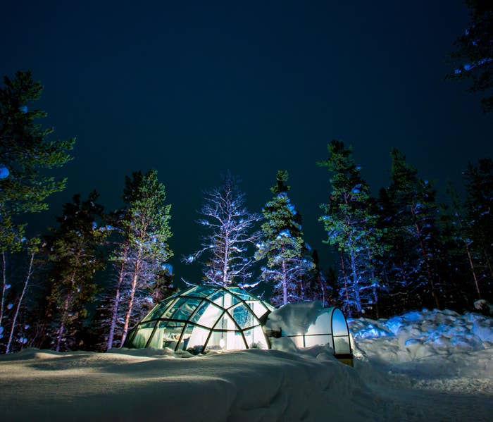 a glass igloo in the snow surrounded by trees and magical lights