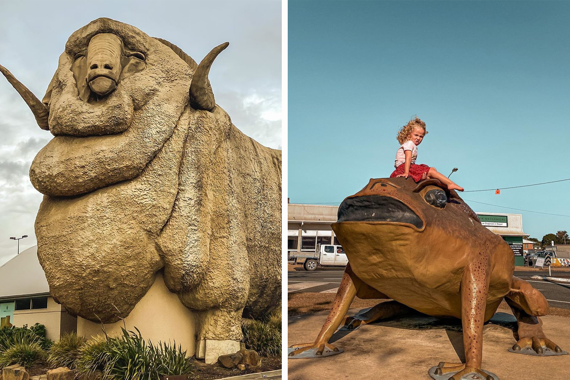 Side by side image of a giant statue of a merino sheep and a small girl sitting on a cane toad