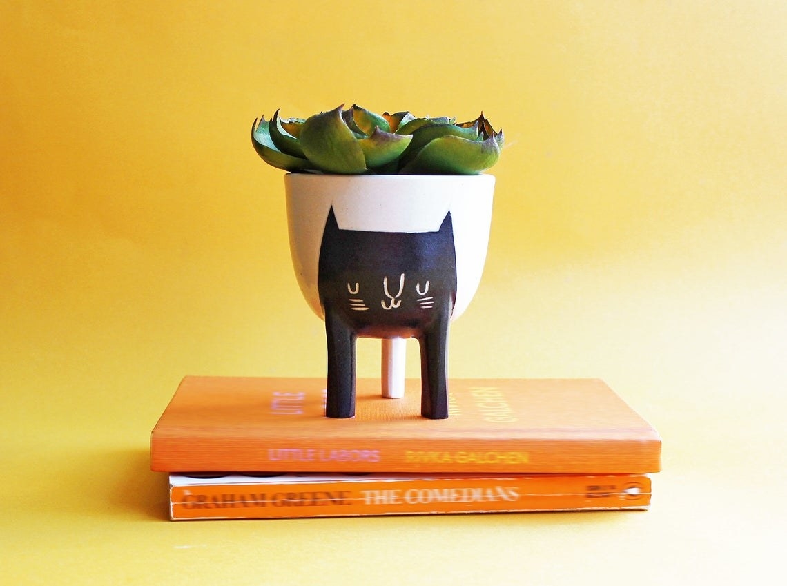 The cat-shaped plant pot on top of a pile of books