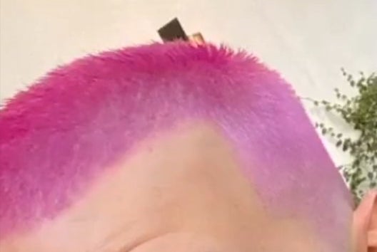 Just the pink buzz cut, super up close