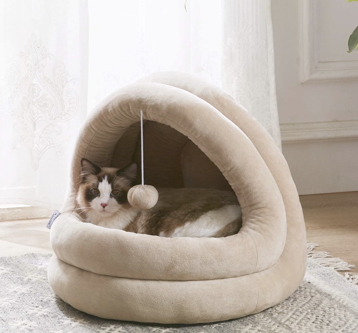 A brown-and-white cat sitting inside a tan cave bed with a single pom-pom hanging at its opening