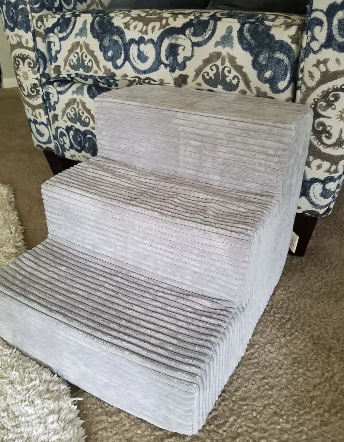 a grey corduroy plus pet step in front of a reading chair