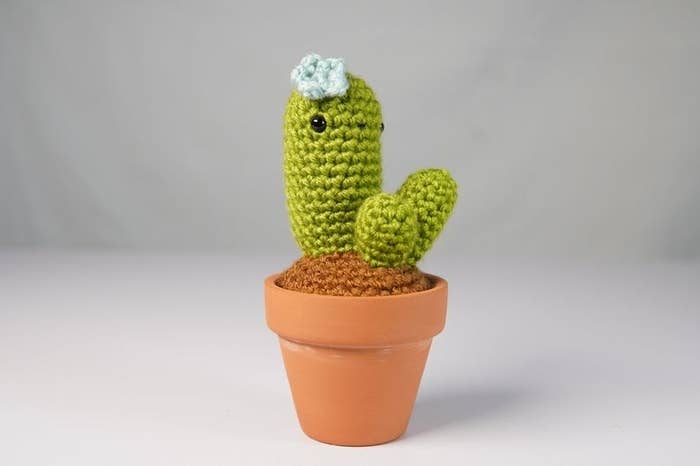 A cactus plushie