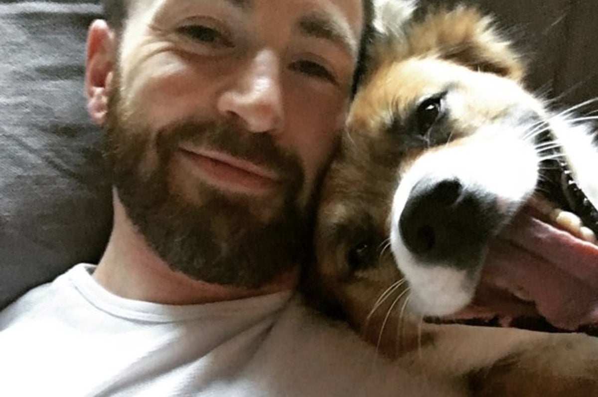 Chris Evans Reveals Disney-Inspired Reason for Naming His Dog Dodger