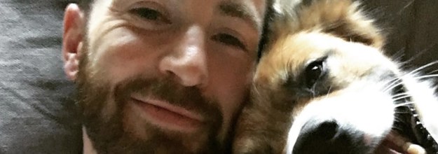 Chris Evans Reveals Disney-Inspired Reason for Naming His Dog Dodger