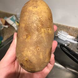 A reviewer's before photo of a dirty potato
