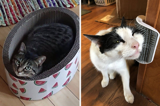 29 Under-$50 Cat Products From Amazon You'll Probably End Up Using Every Day