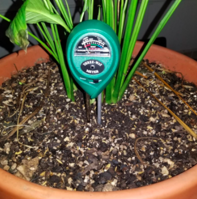 the meter in a potted plant
