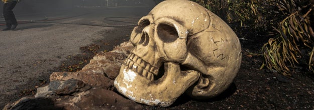 A tweet: A little girl just started crying at my Halloween decorations, I shouldn't feel pride butt