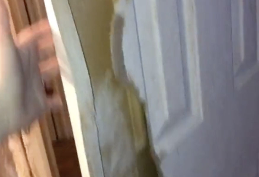 A owner shows off damage to a door created by her dog