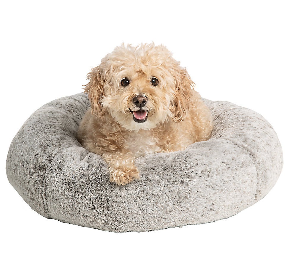 A small dog in the gray round cushion bed