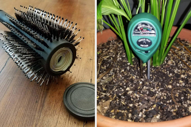 split thumbnail of round hair brush with storage for money inside, humidity measure in potted plant