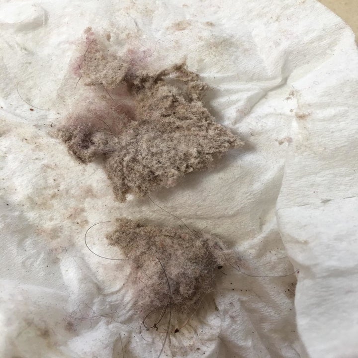 Reviewer photo of two large chunks of dust and debris that the vacuum removed from the mattress