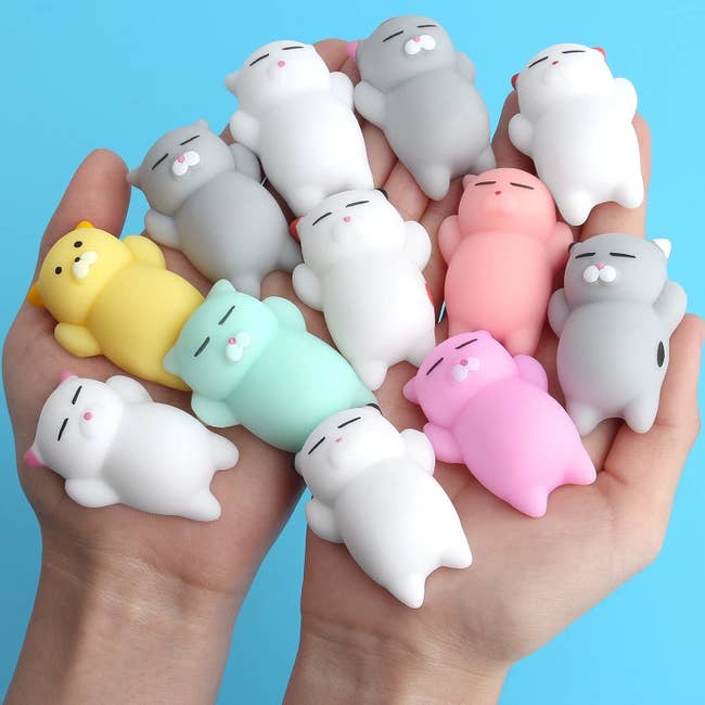 Hands holding the 12 squishies that look like sleeping cats
