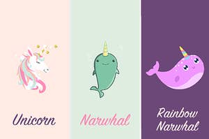 A Unicorn, A Narwhal, Or A Rainbow Narwhal being very cute